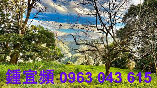 新竹北埔農地-8