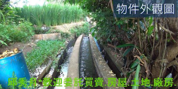 新北農地-3
