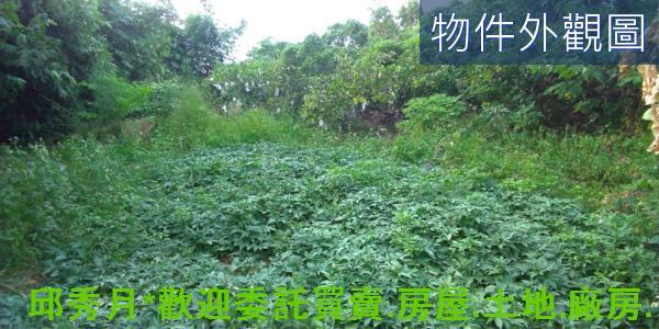 新北農地-5