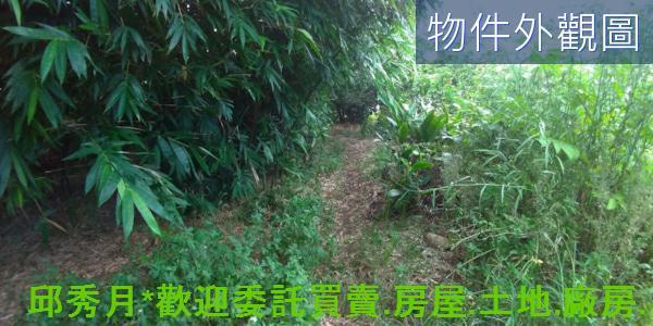 新北農地-6