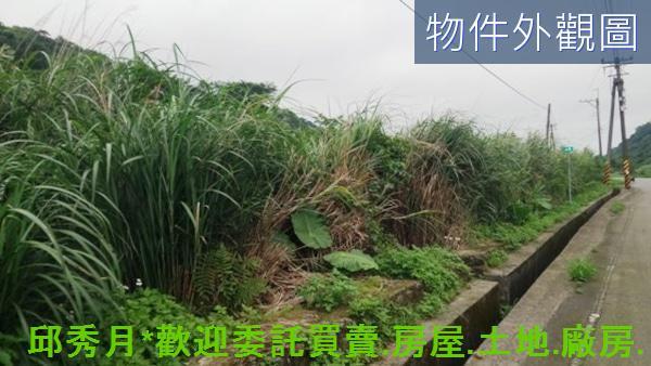新北農地-12