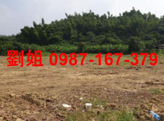 仁武農地-0
