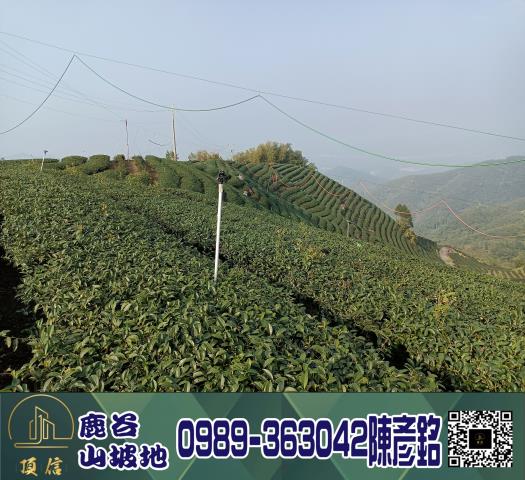 南投鹿谷工業地-9