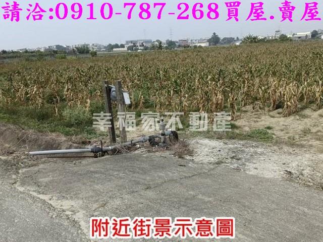 台南善化農地-10