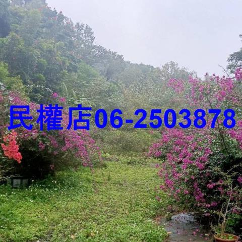 新化農地-3