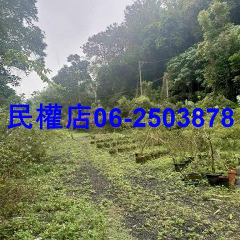 新化農地-5