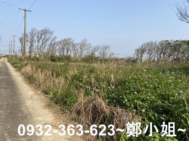 桃園觀音農地-3