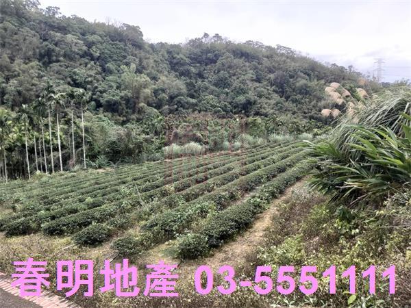 峨眉農地-1