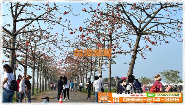 白河農地-4