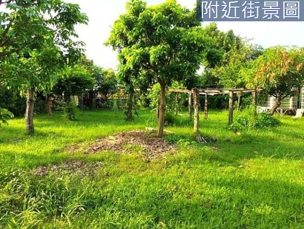 安南農地-0