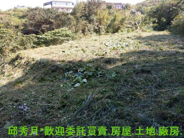 石門農地-2