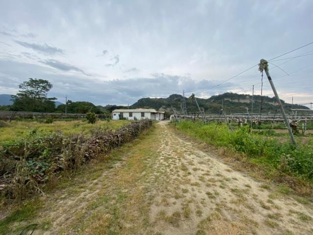 玉井農地-7