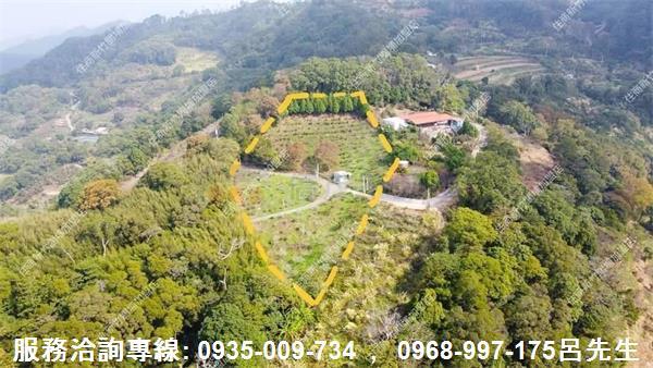 苗栗銅鑼1912坪農牧休閒楠木果園紅肉李水柿橘子苦茶樹便宜農