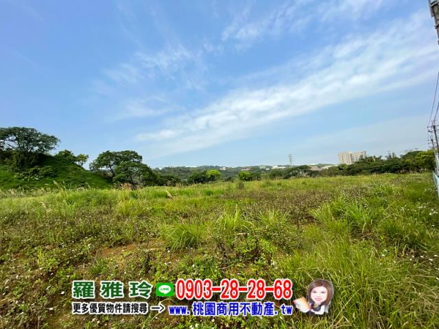 桃園平鎮農地-5