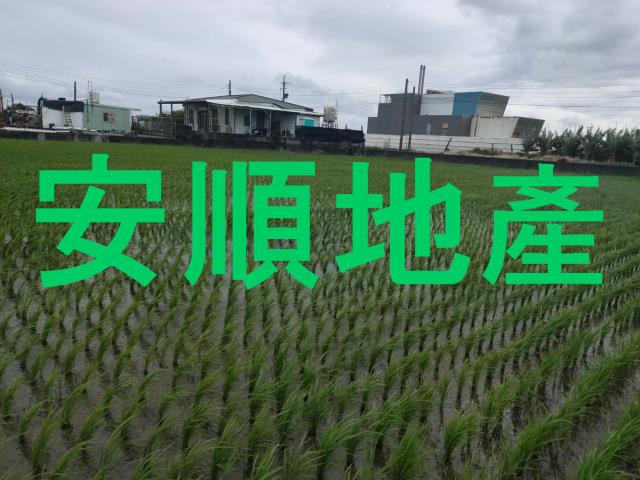 台東台東市農地-2
