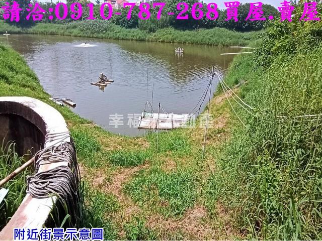 台南麻豆養殖地-2