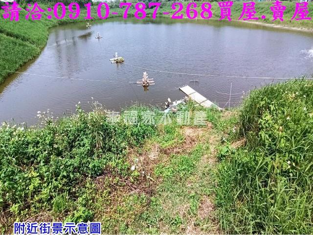 台南麻豆養殖地-5