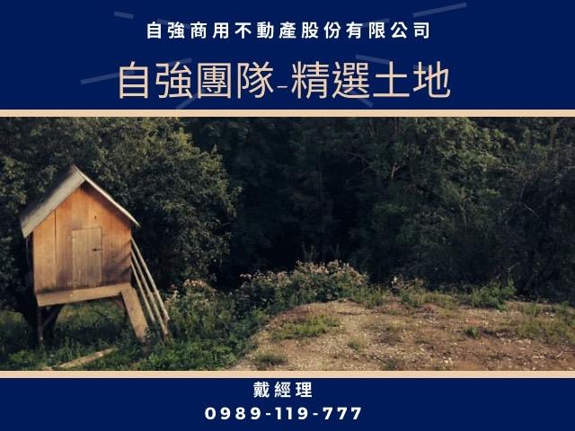 高雄左營建地-0