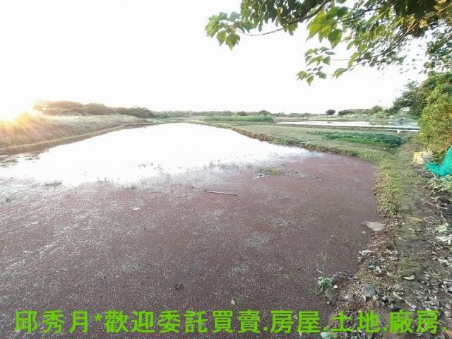 新北農地-0