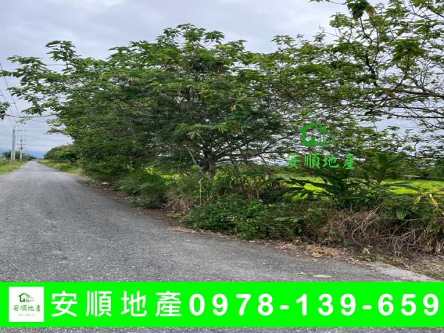 台東市農地-0