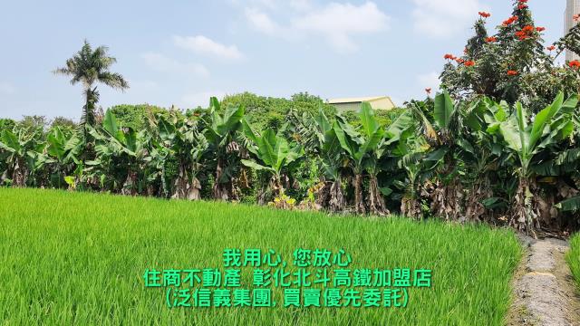 溪州建地-3