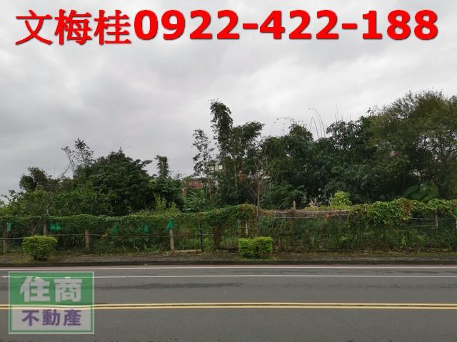 宜市陽明工業建地