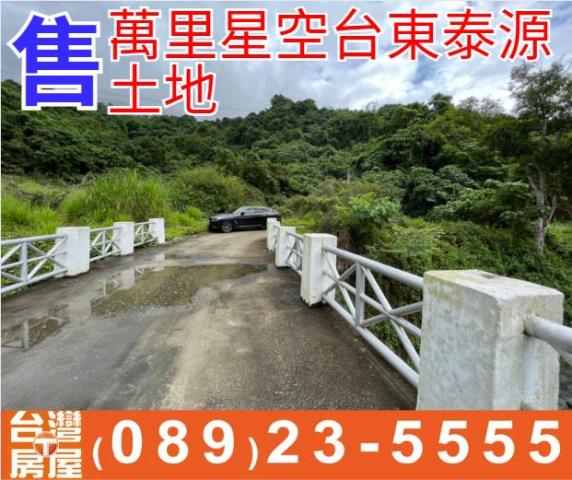 台東農地台東房地產台東土地買賣台東房仲台東仲介海岸線農地
