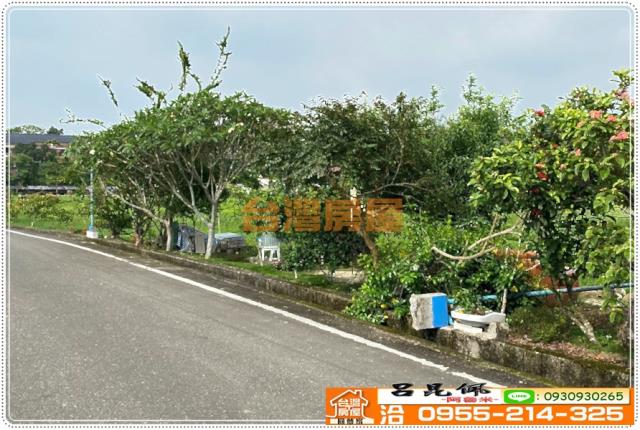 中埔農地-3