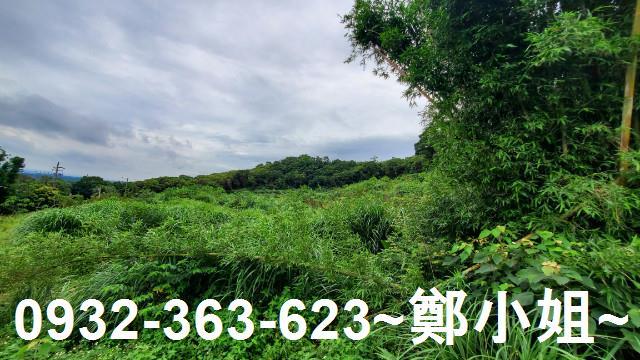 桃園龍潭農地-4