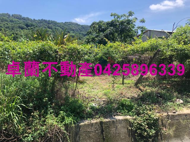 苗栗卓蘭農地-1