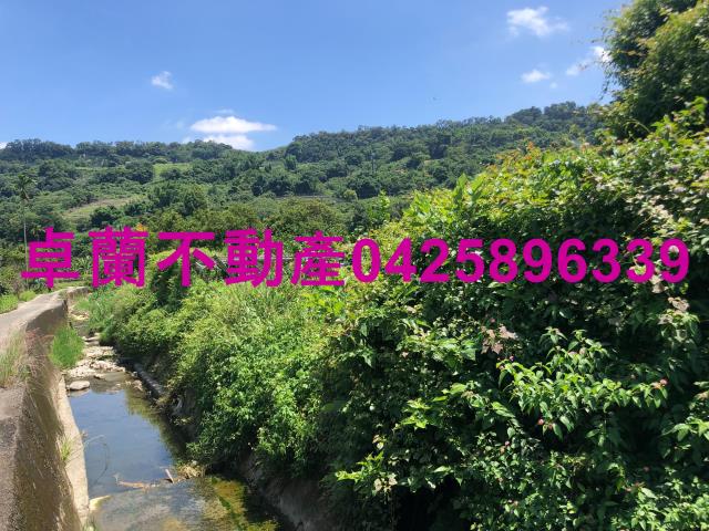 苗栗卓蘭農地-2