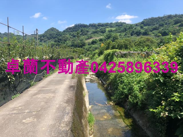 苗栗卓蘭農地-7