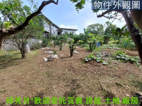 新北淡水二期二-4