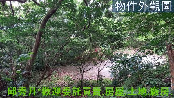 新北石門農地-2