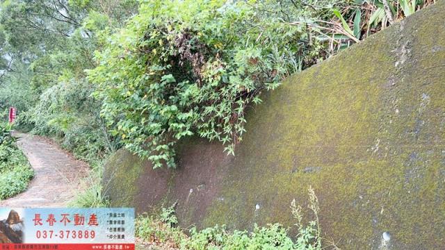 頭屋休閒地-4