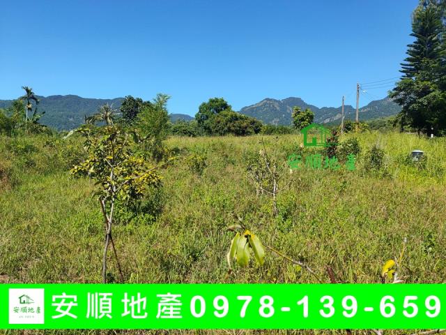 成功農地-3