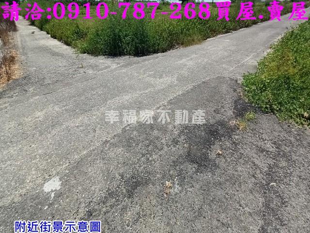 台南農地-4