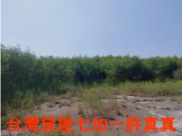 台南新營工業地-0