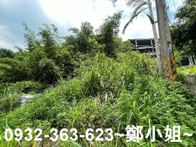 大溪農地-4