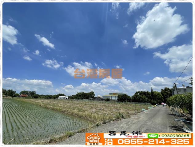 大林農地-2