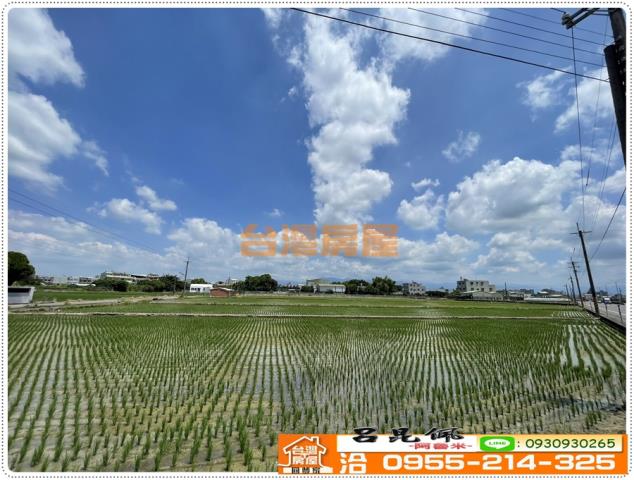 大林農地-5