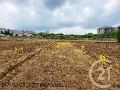 桃園平鎮農地-14