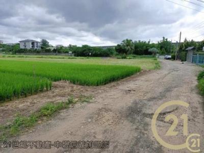 桃園平鎮農地-2