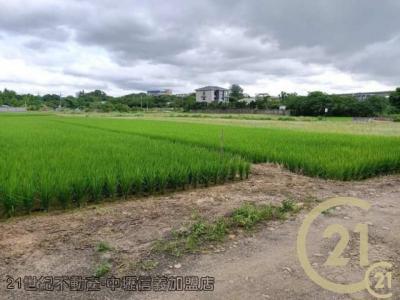 桃園平鎮農地-3