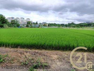 桃園平鎮農地-4