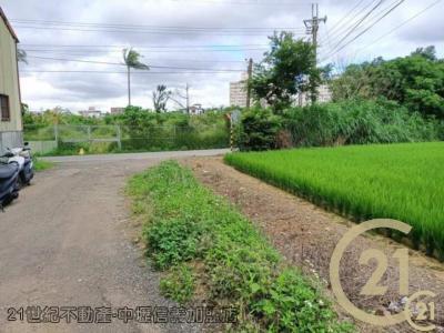 桃園平鎮農地-5