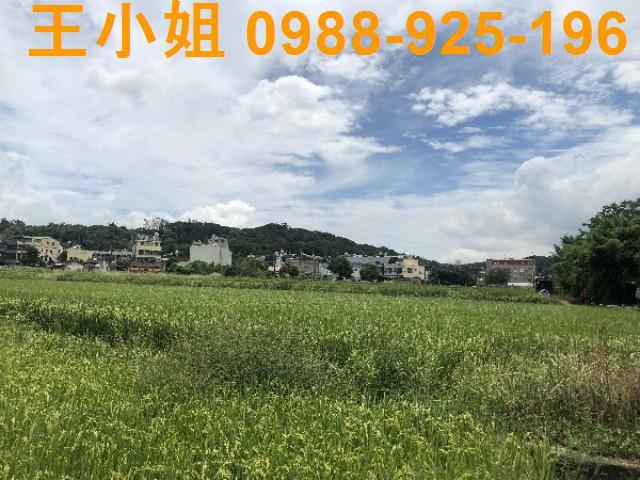 桃園蘆竹農地-13