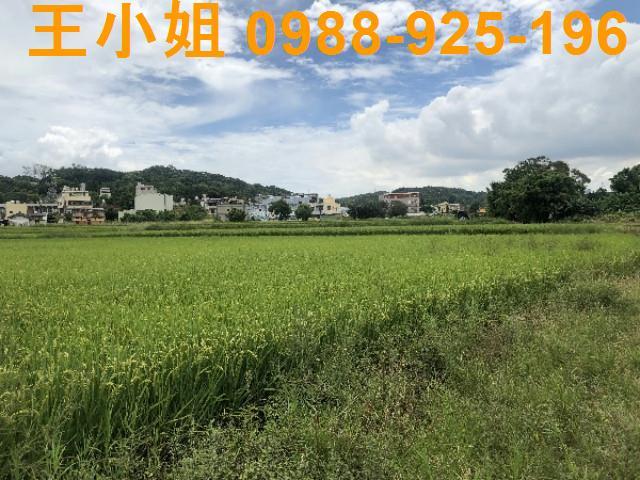 桃園蘆竹農地-6