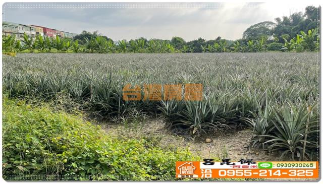 嘉義竹崎農地-1