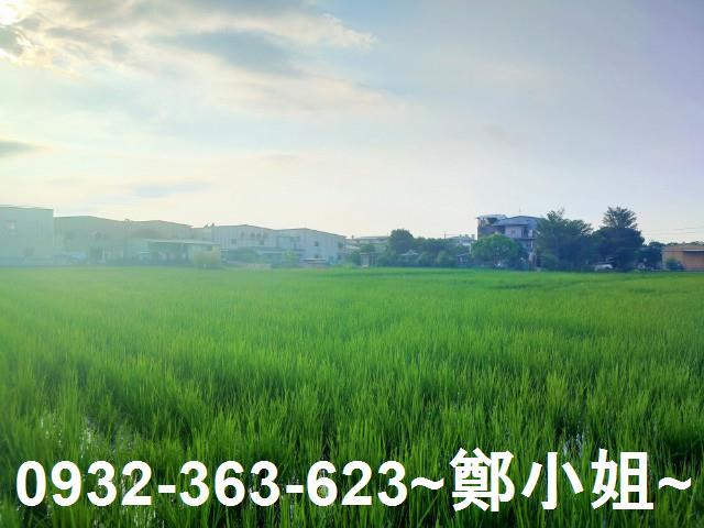 八德農地-4